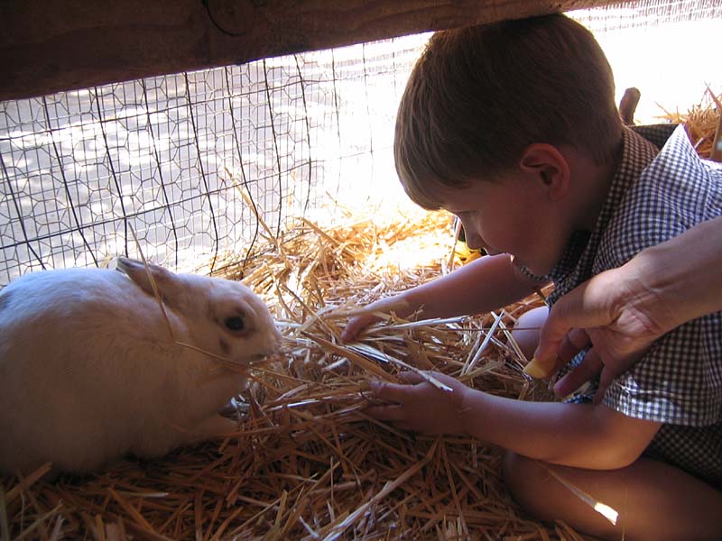 08-17-08_petting-zoo_Severin_42