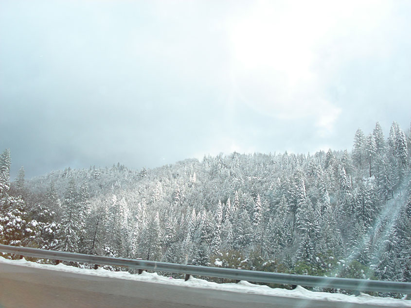 Tahoe-Donner_Feb-07_002