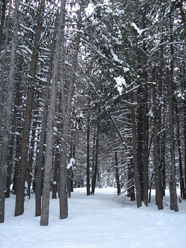 Tahoe-Donner_Feb-07_040