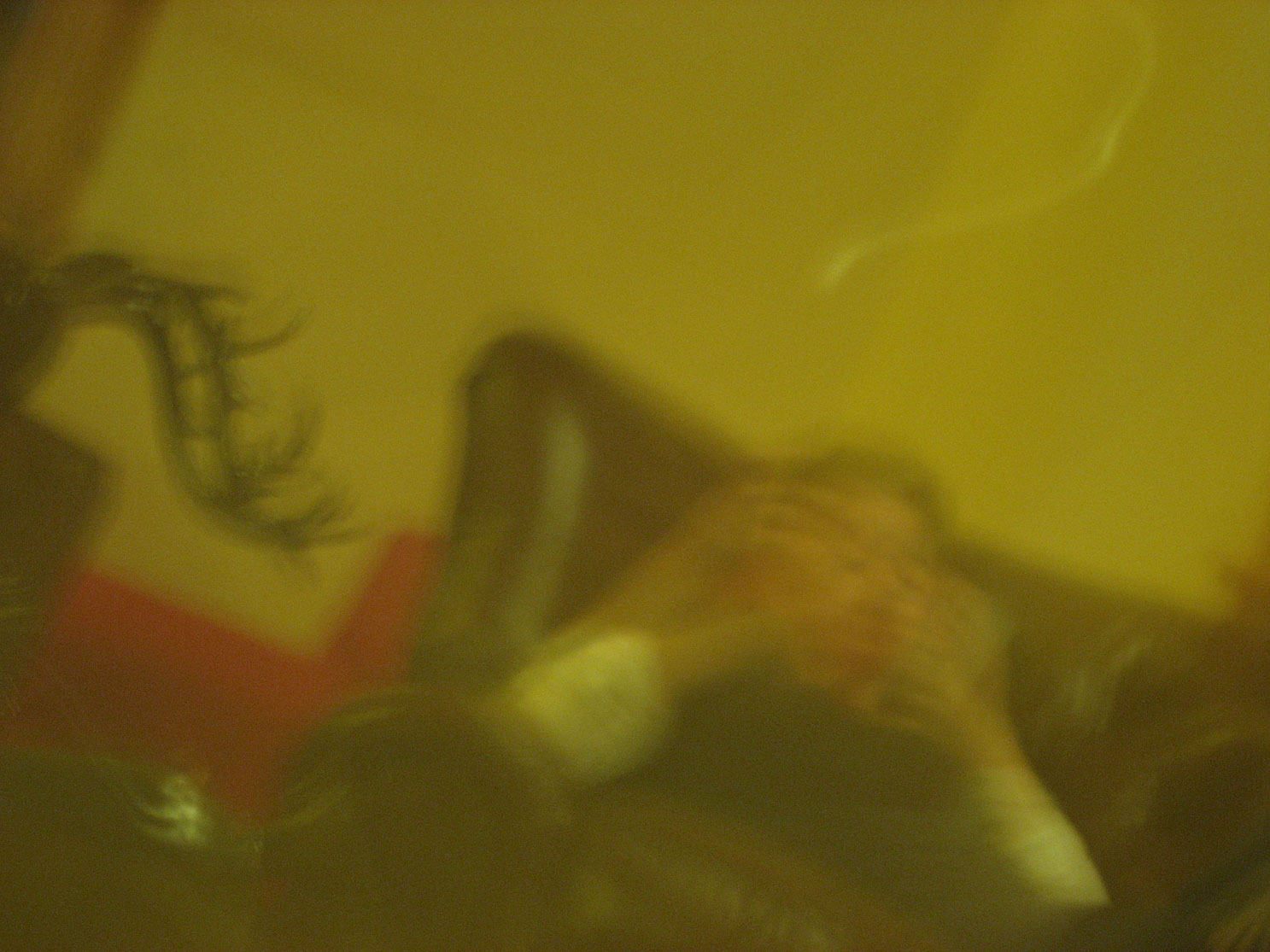 Tahoe-Donner_Feb-07_296