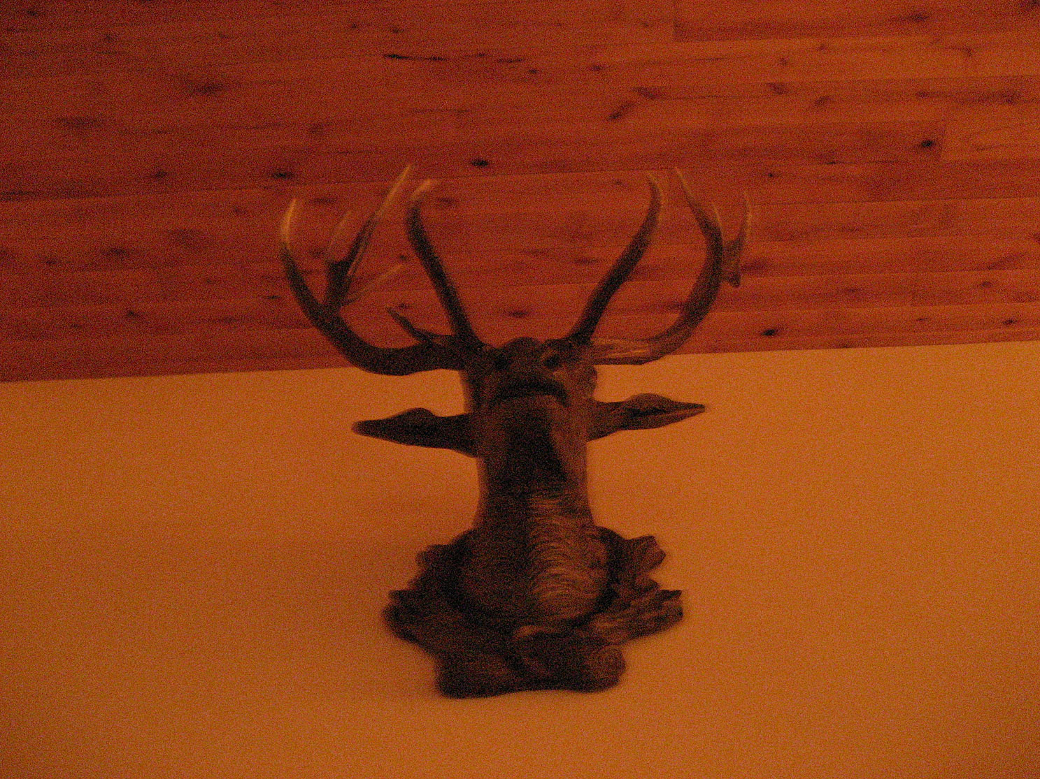 Tahoe-Donner_Feb-07_310