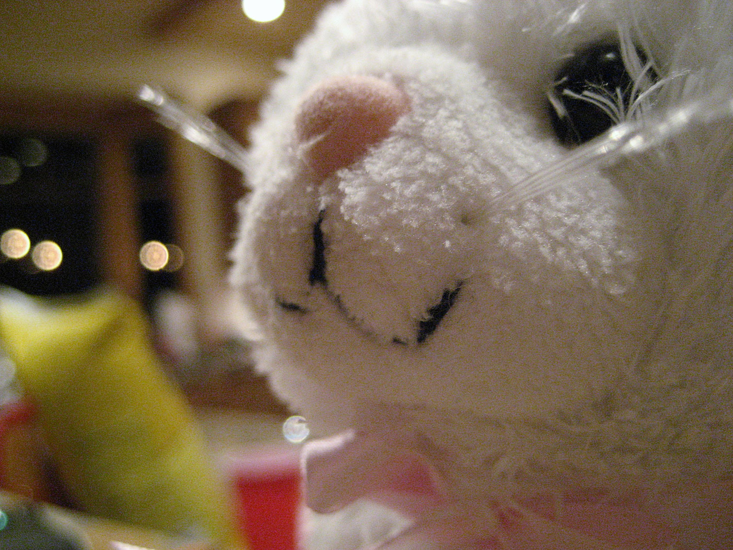 Tahoe-Donner_Feb-07_317