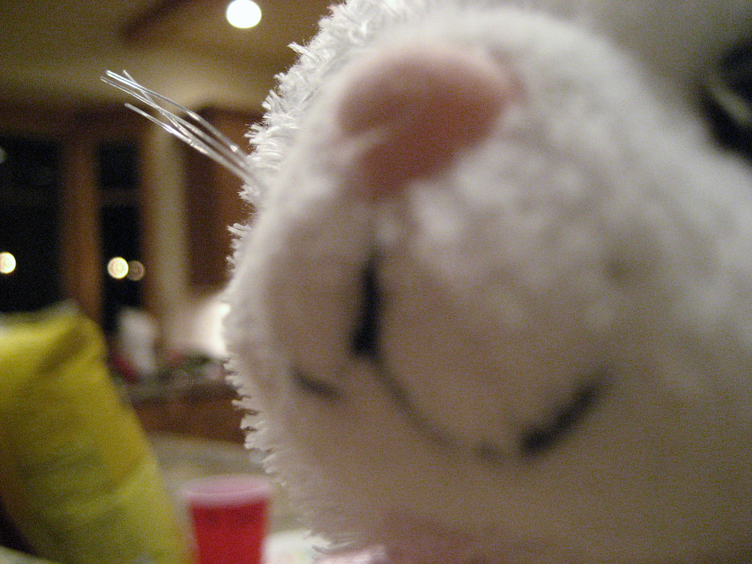 Tahoe-Donner_Feb-07_318