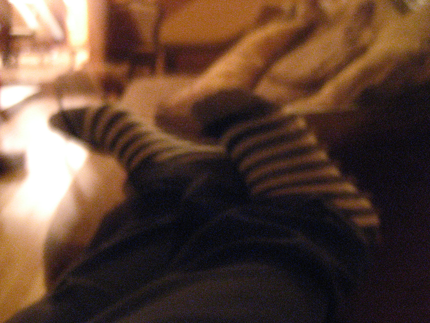 Tahoe-Donner_Feb-07_323