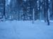 Tahoe-Donner_Feb-07_196